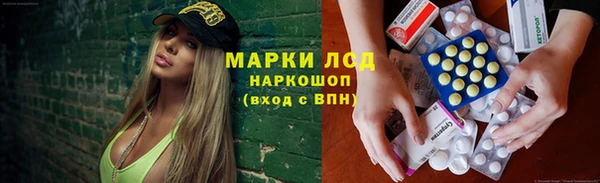 дурь Алзамай