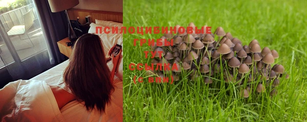 круглые Алексин