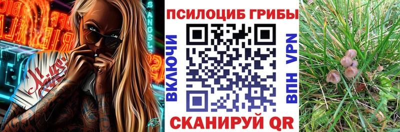 Галлюциногенные грибы Magic Shrooms Аша