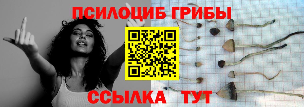 Псилоцибиновые грибы мухоморы  Вход с VPN  Аша 